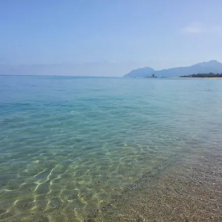 公寓 Al Mare Via Delle Mimose